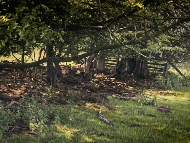 Gathering Invitation for Open Stroll at the Educational Centre, Wasserburg Haus Graven