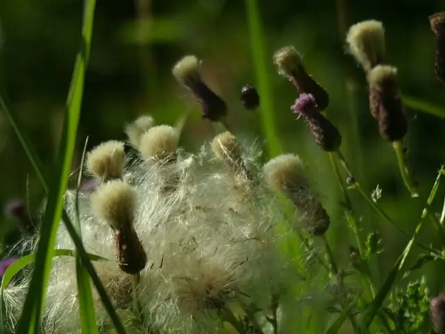 Traces nitrate levels in water supplies across southeast Minnesota discussed on our site