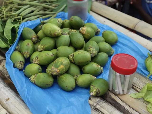 Tracing Digital Footprints for EUDR Regulation Compliance