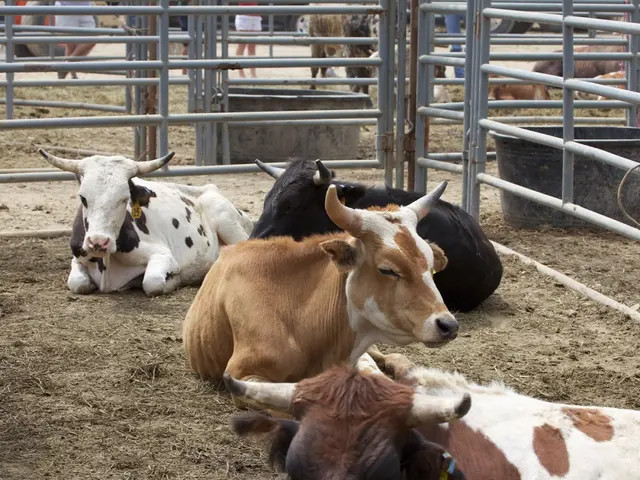 Yearly Pollution of Rivers by Livestock Farms Reaches 300 Times Exceeding Normal Levels