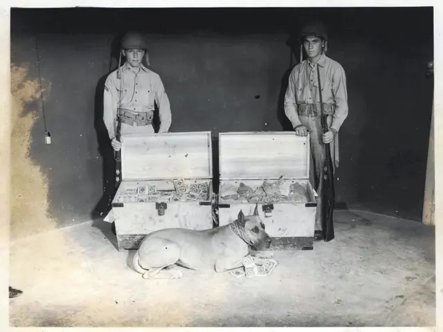 Doge, a canine, infiltrates NOAA, gains access to their IT systems, and removes the leading HR...