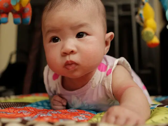 Council Response Pending at Commission's Request