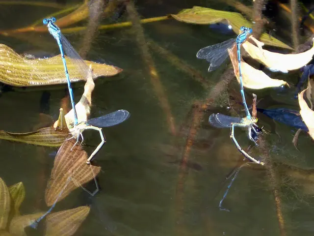 Turtles Inhabit Uncharted Garlic Terrain