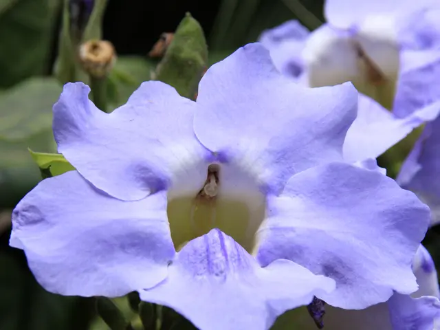 Daily Routine Practices of Individuals Achieving Financial Independence