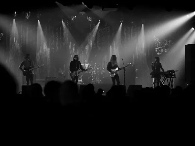 It is the black and white image. This image looks like it is a music concert in which there are...