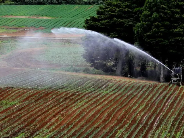 It is an agriculture land many plants are plotted into the ground and in front of of the field...